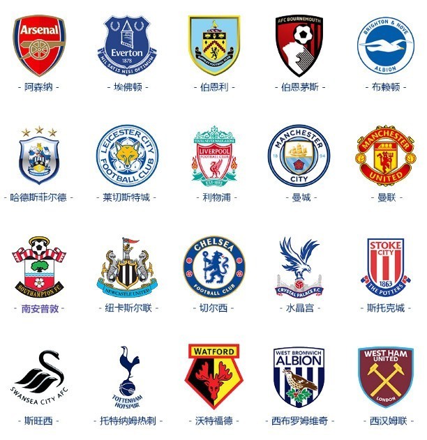 的后防中坚 的后防中坚