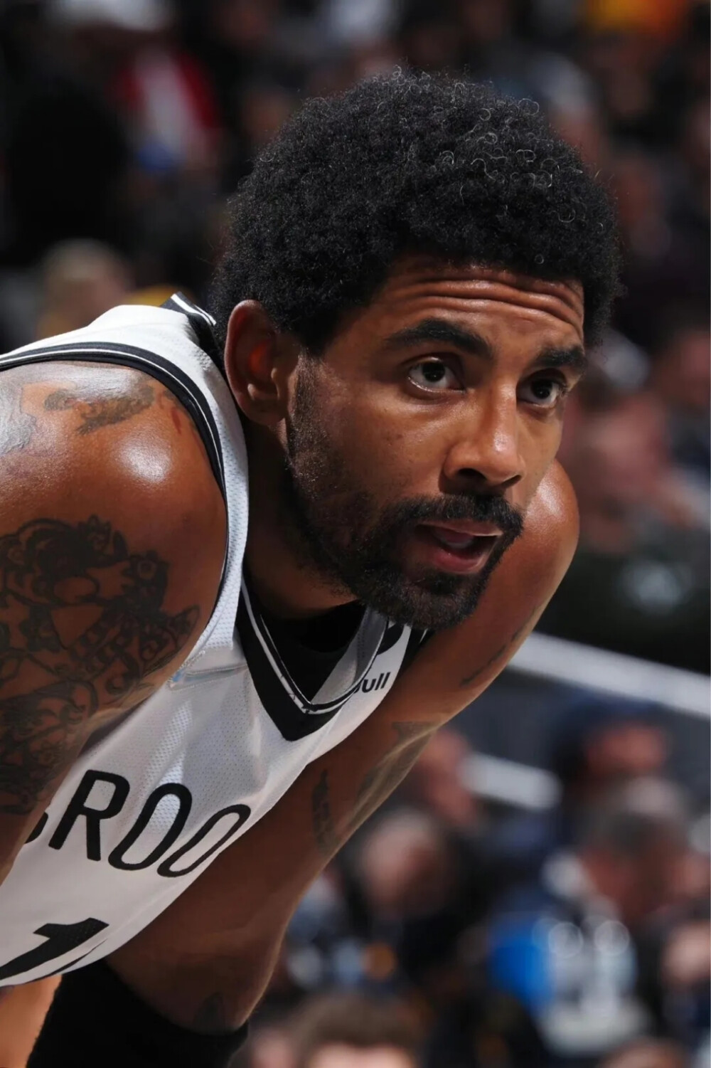 场胜利的定 场胜利的定