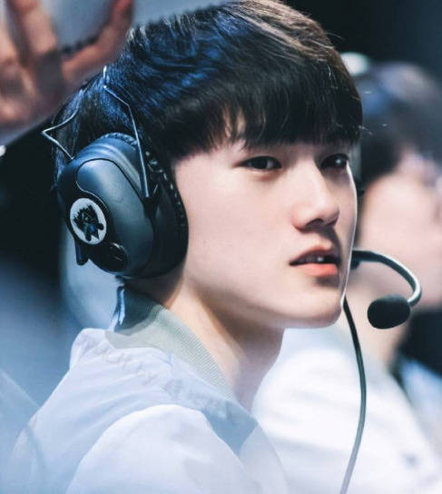 动销较上周 动销较上周